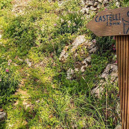 בית הארחה אצ'ארבי 	Castelli Olive Press מראה חיצוני תמונה