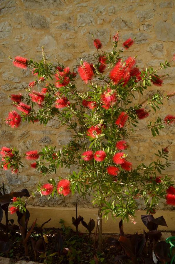 בית הארחה אצ'ארבי 	Castelli Olive Press מראה חיצוני תמונה